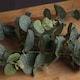 image 3 of Eucalyptus Spray Artificial Plant - Fabric/Plastic - L22 x W13 x H91 cm - Green