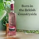 image 2 of Chase British Rhubarb Vodka, 70cl