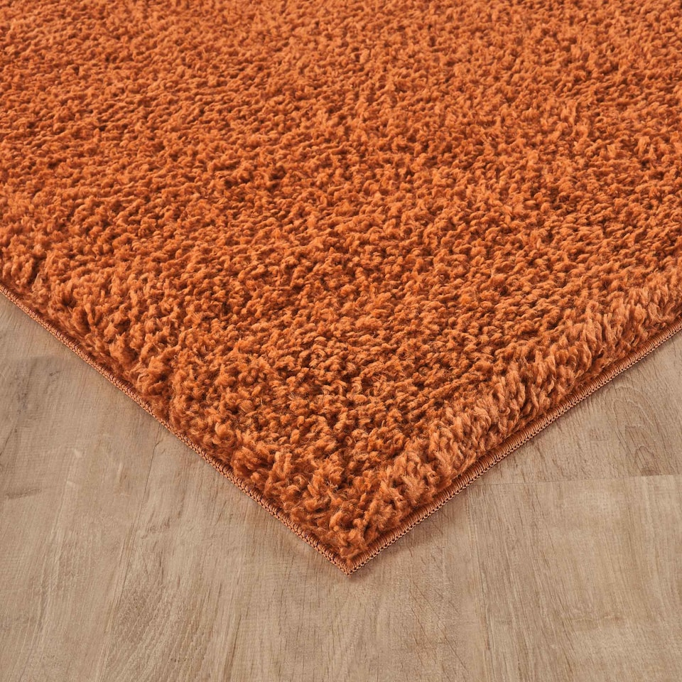image 1 of Desire Rugs Ainsley Plain Living Room Shaggy Area Rug