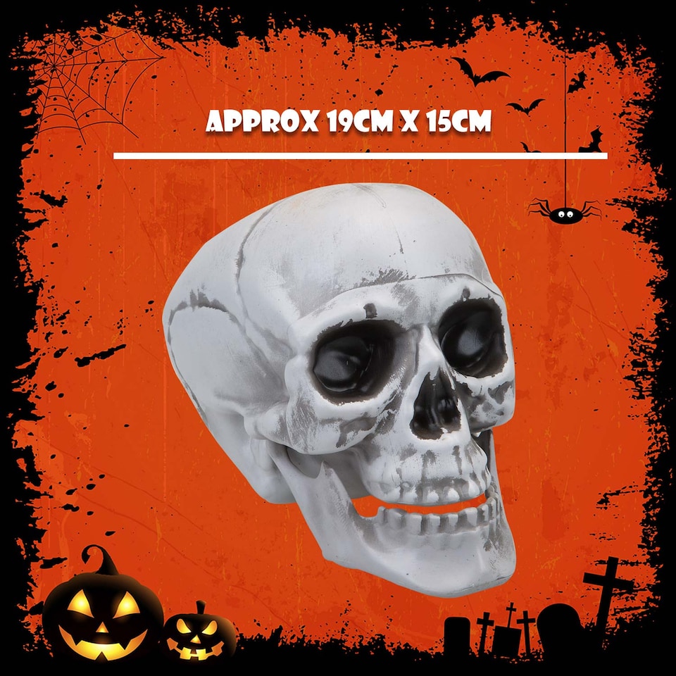 image 1 of PMS Large Skull Decoration with Moving Jaw - 19cm White