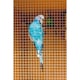 image 2 of Ambassador Cage & Aviary Welded Panel - Silver - 1.3 x 2.5cm