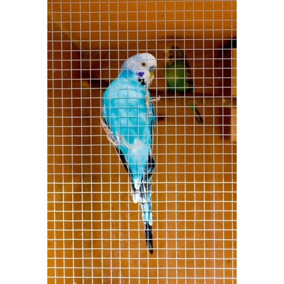 image 1 of Ambassador Cage & Aviary Welded Panel - Silver - 1.3 x 2.5cm