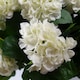 image 2 of 70cm Artificial White Bush Hydrangea Plant Potted