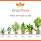 image 3 of The Prairie Style Border Selection Established in Large 3 Litre Pots By Direct Plants Pack of 18