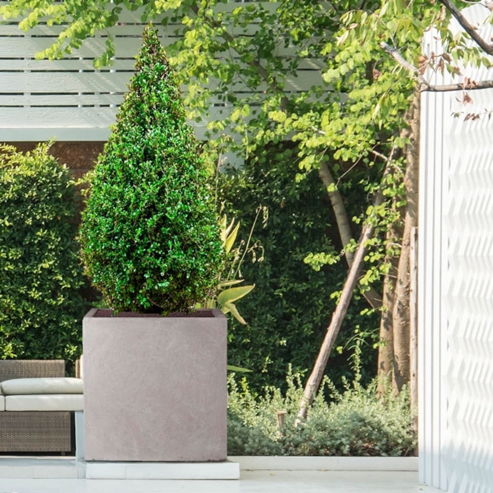 image 1 of Square Box Grey Light Concrete Garden Planter H60 L60 W60 cm, 216 ltrs Cap.