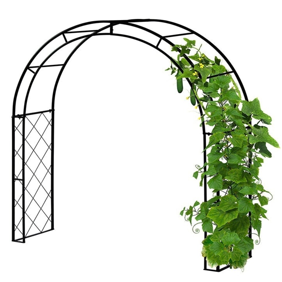 image 1 of Climbing Arch Black Black