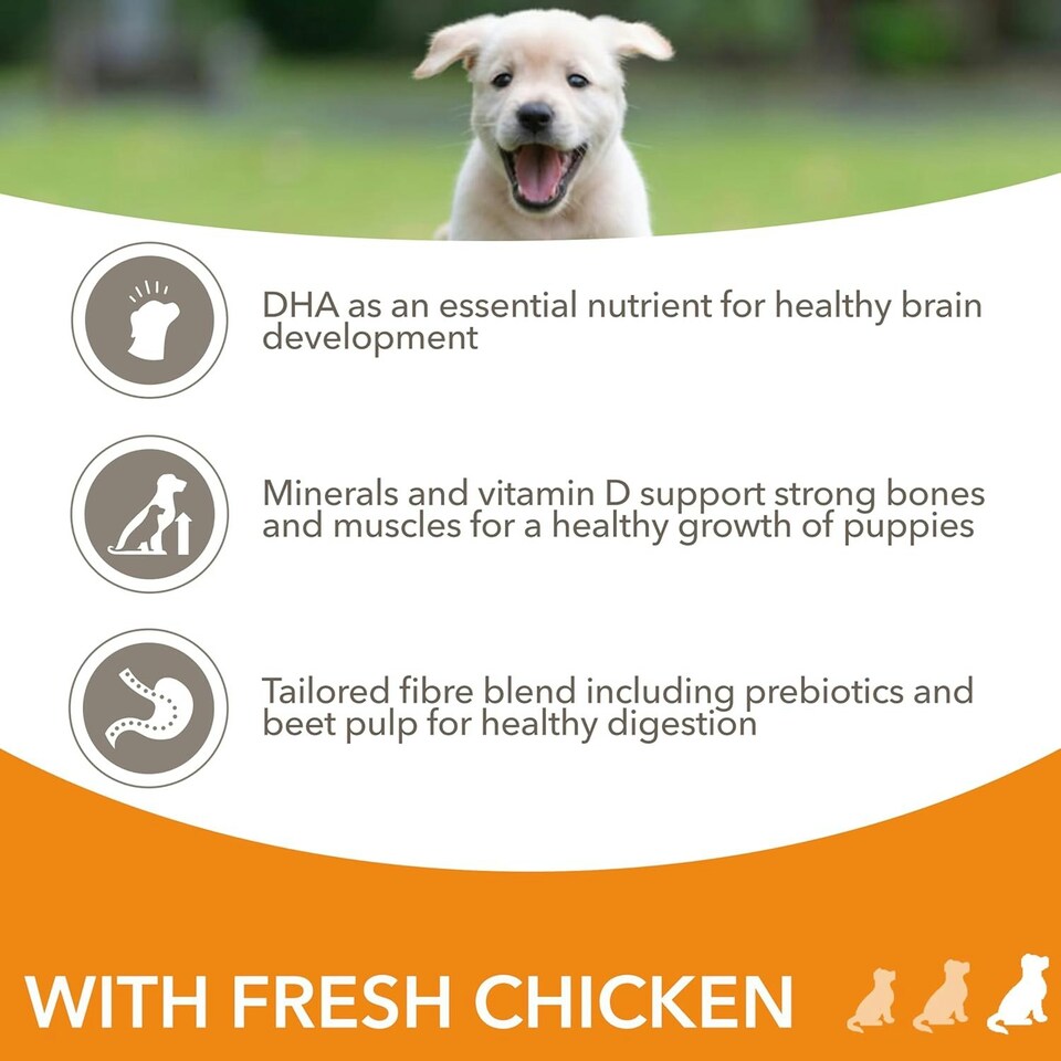 image 1 of IAMS Complete Dry Dog Food for Puppy Large Breeds with Chicken 12 kg