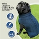 image 9 of HugglePets Legacy Cable Knit Dog Jumper | Blue | S