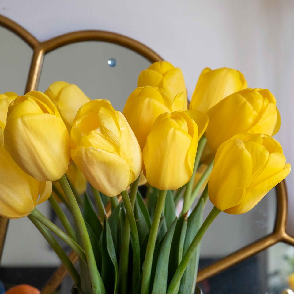 image 1 of Marshalls Garden Tulip Bulbs 'World Friendship' – Primrose Yellow, Pack of 10