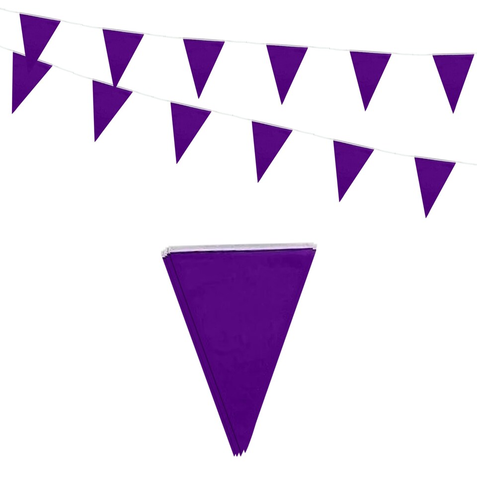 image 1 of Purple Colour Party Bunting 10m with 20 Pennants