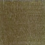 9051 Dark Oak