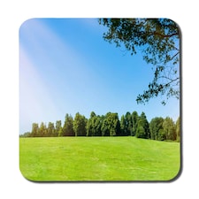 Beauty landscape of grass field with forest trees and environment public park with sun rays (Coaster)