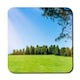 image 1 of Beauty landscape of grass field with forest trees and environment public park with sun rays (Coaster)