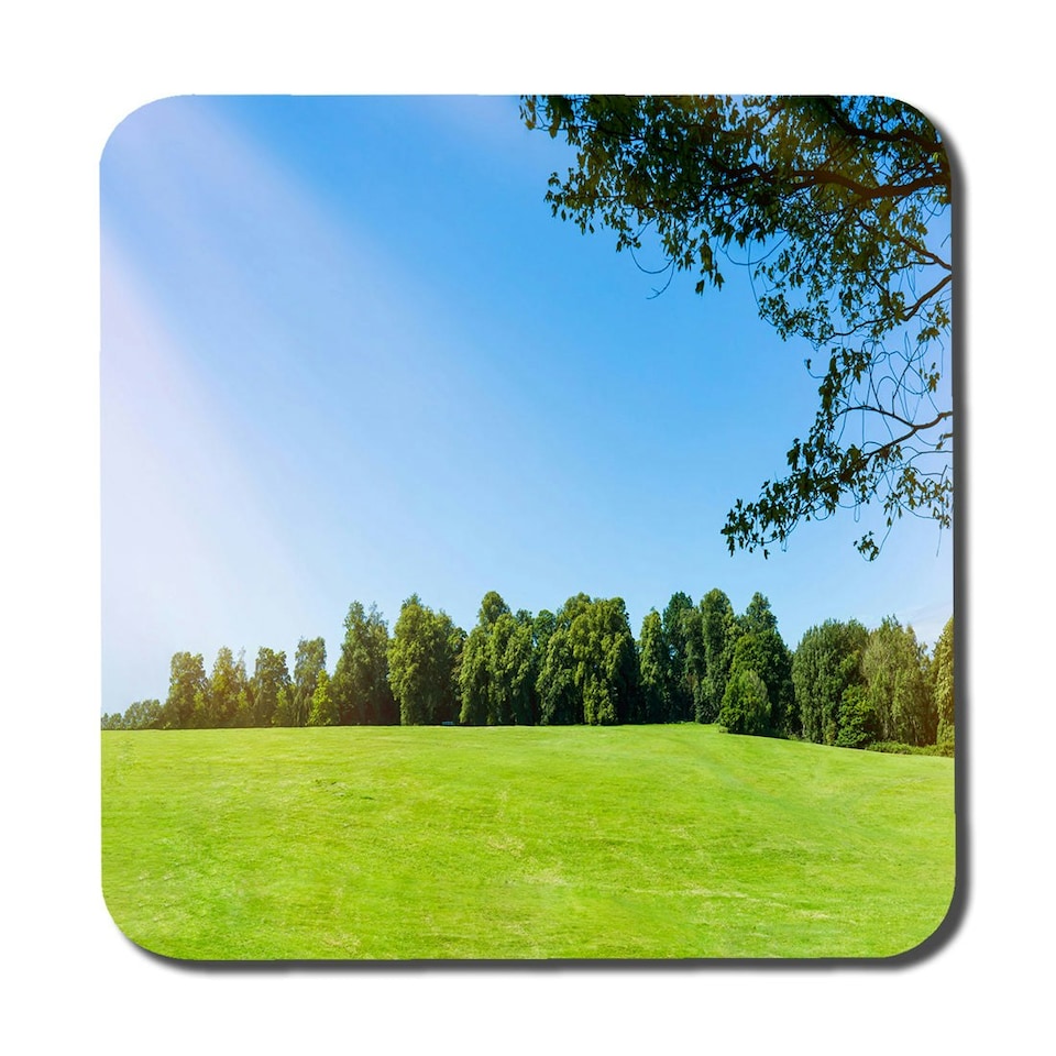 image 1 of Beauty landscape of grass field with forest trees and environment public park with sun rays (Coaster)