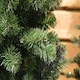 image 2 of 150cm (5ft) Newfoundland Slim Pine Christmas Tree - 86cm Diameter