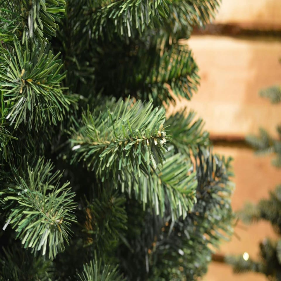image 1 of 150cm (5ft) Newfoundland Slim Pine Christmas Tree - 86cm Diameter