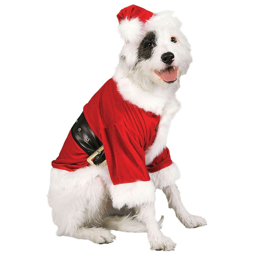 Bristol Novelty Santa Claus Dog Costume - Red/White/Black - S