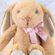 image 5 of Sitting Floppy Pippin Brown Rabbit 23cm