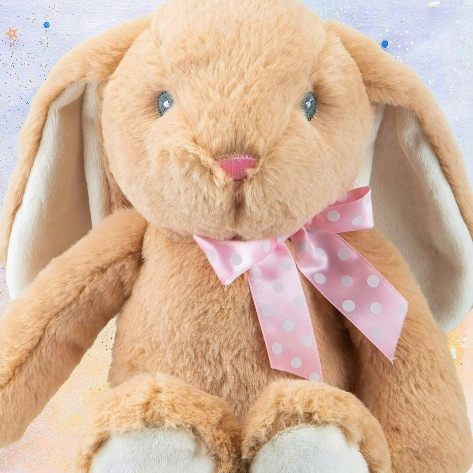 image 1 of Sitting Floppy Pippin Brown Rabbit 23cm