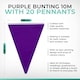 image 2 of Purple Colour Party Bunting 10m with 20 Pennants