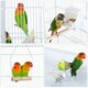 image 6 of Yaheetech 162.5 cm Tall Open Top Metal Bird Cage Large White