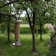 image 3 of Stainless Steel Bird Seed Feeder