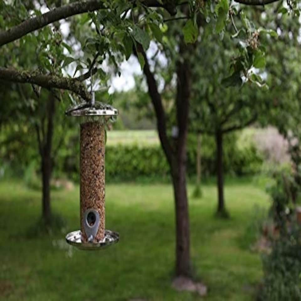 image 1 of Stainless Steel Bird Seed Feeder