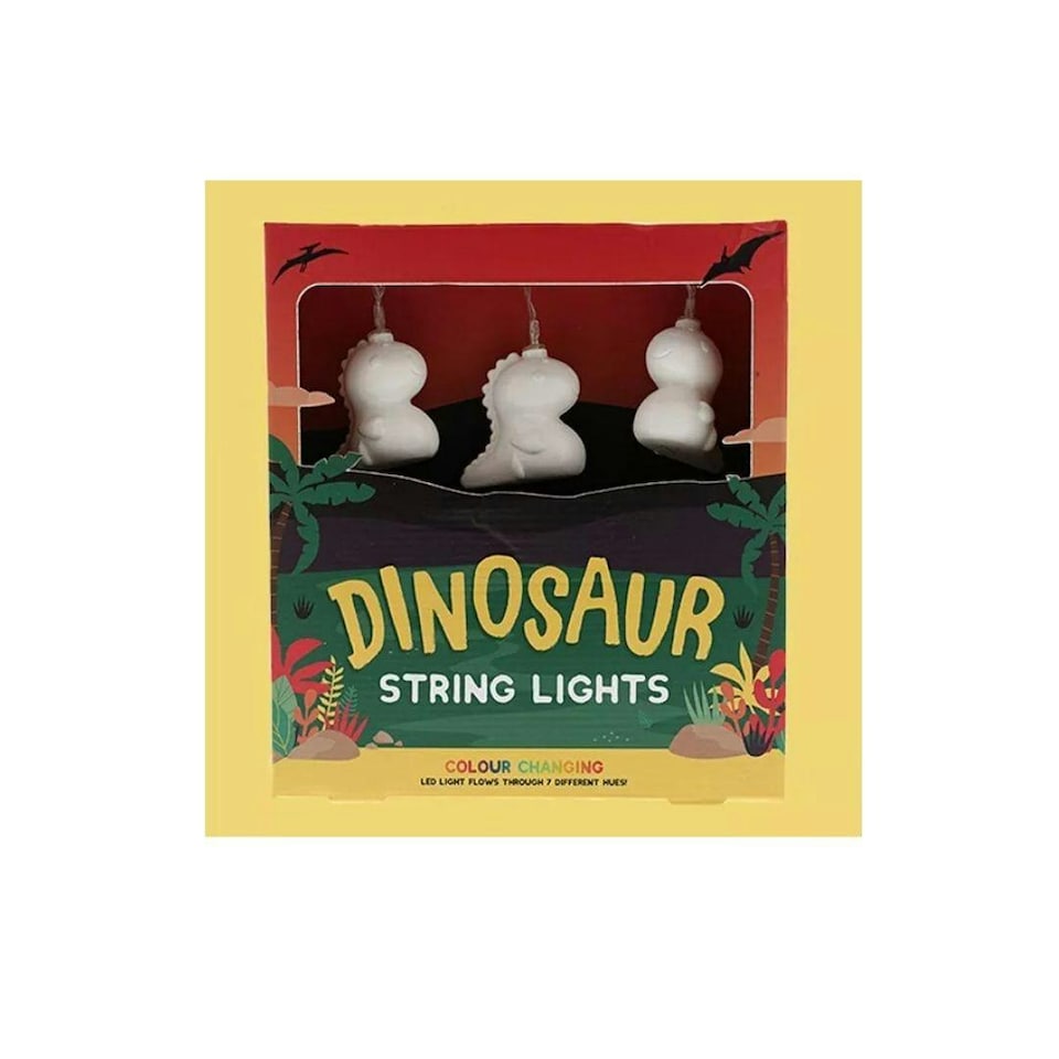 image 1 of Dinosaur String Lights Multicolour LED Lights Battery Operated 2m Multi