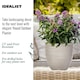 image 4 of Plaited Style Beige Round Garden Planter, Outdoor Plant Pot D24 H23 cm, 10.4 ltrs Cap.