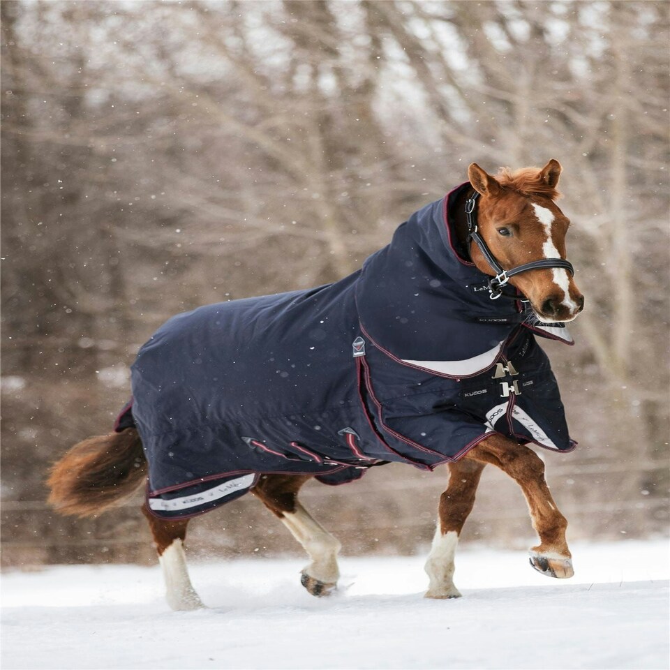LeMieux Kudos Turnout Rug 350g Blue | 5ft 9