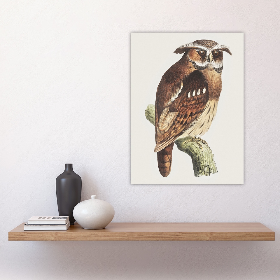 image 1 of Eagle Owl Perched on a Branch Vintage Wall Art Print van Hoytema 18x24"