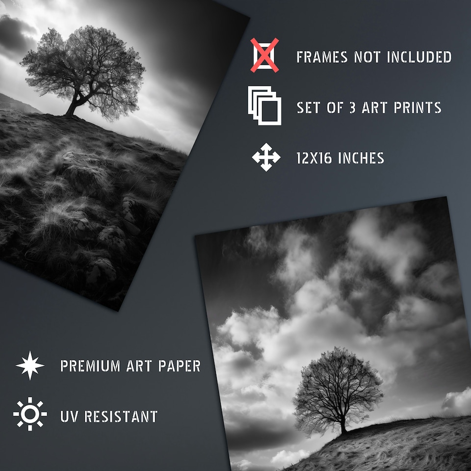 image 1 of Set of 3 Lone Tree Hill Black White Photographs Countryside Landscape Wall Art Prints 12X16 Inch