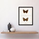 image 2 of Denton Framed Wall Art Red Admiral Butterfly Vintage Illustration Home Décor