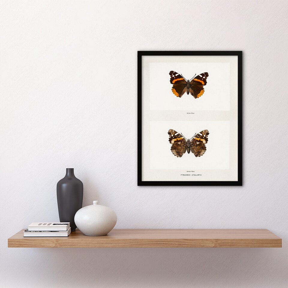 image 1 of Denton Framed Wall Art Red Admiral Butterfly Vintage Illustration Home Décor