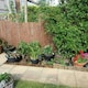 image 3 of Primrose Natural Bark Screening Garden Fence Privacy Roll Sun Protection 3m x 1.5m
