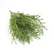 image 2 of Pack of 6 x 40cm Fire Resistant Artificial Foliage Grass Stem