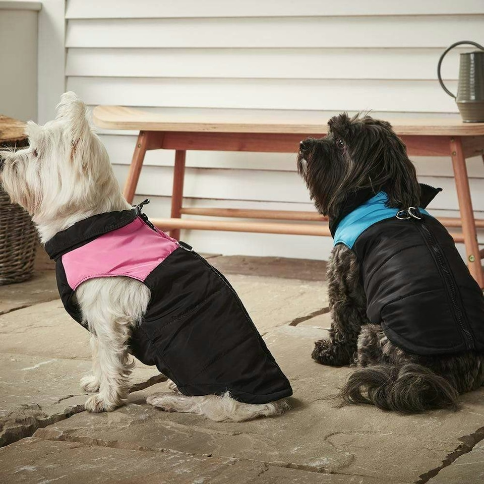 image 1 of Dog Puffer Jacket - Bunty Blue | XL