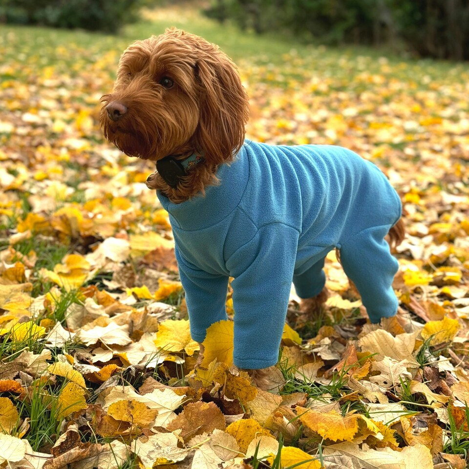 image 1 of Four Legged Dog Fleece - XL / Teal Blue | XL