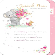 Special Nan Birthday Card Elliot and Buttons