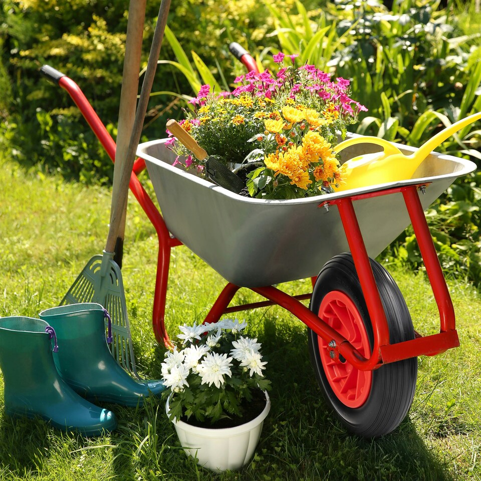 image 1 of PU Red 14" Replacement Puncture Proof Wheelbarrow Wheel 3.50-8 Solid Tyre UK