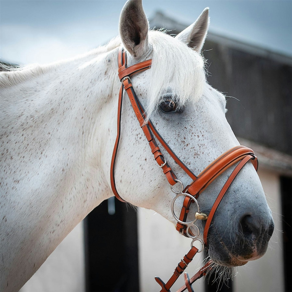 image 1 of Gallop Equestrian Comfort Bridle + Rubber Reins Brown | Size: Full
Colour: Tan