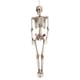image 1 of Halloween Skeleton Lifesize Hanging Prop Decoration 150cm