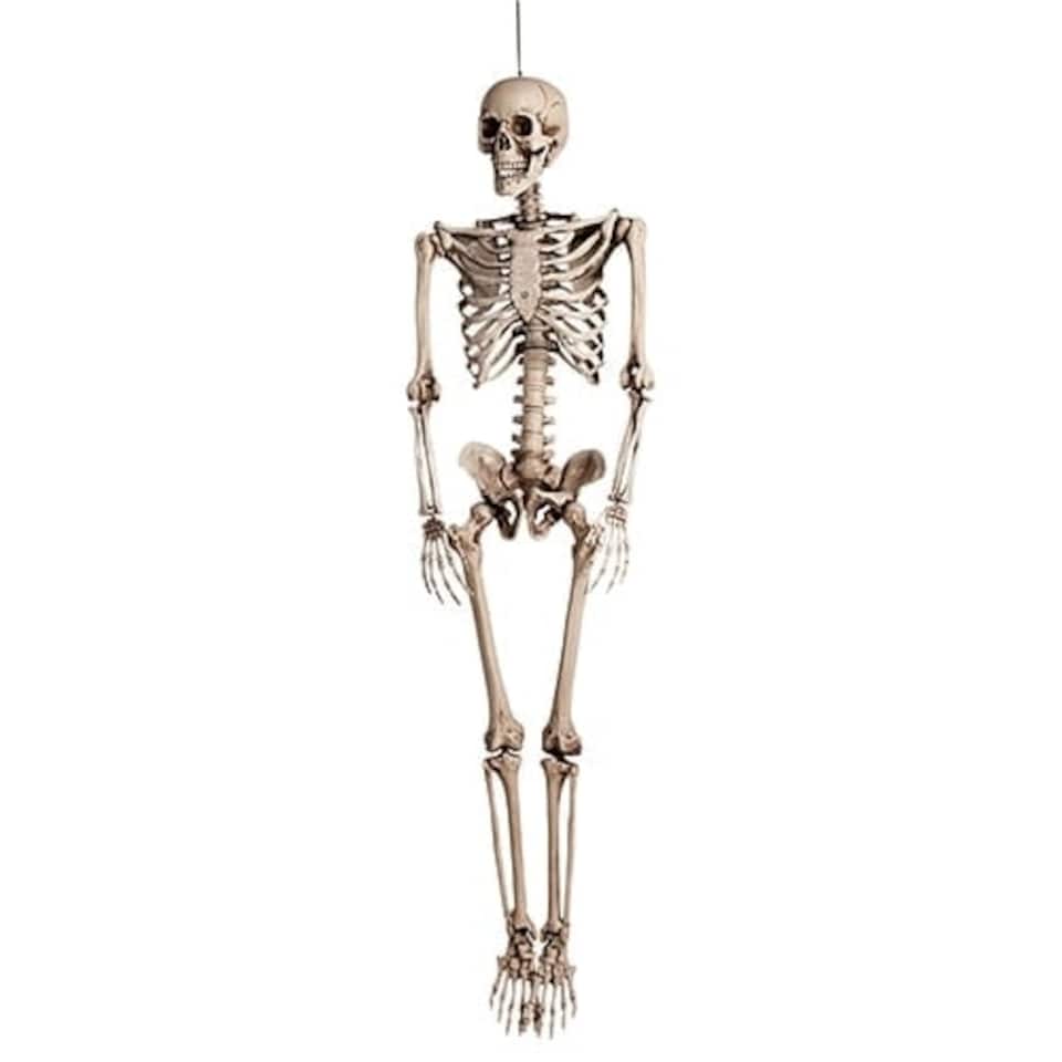 image 1 of Halloween Skeleton Lifesize Hanging Prop Decoration 150cm
