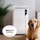image 2 of Pro Breeze 20L Premium Dehumidifier with Special Laundry Mode