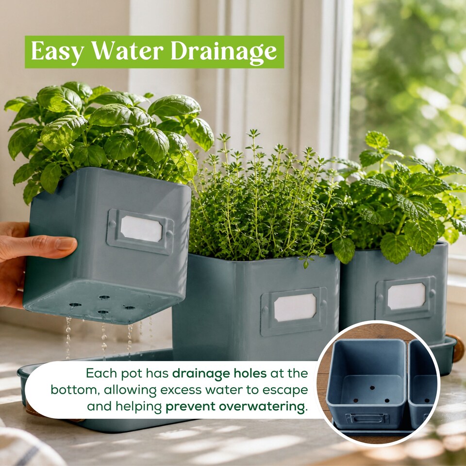 image 1 of Set of 6 Blue Indoor Herb Pots with Tray