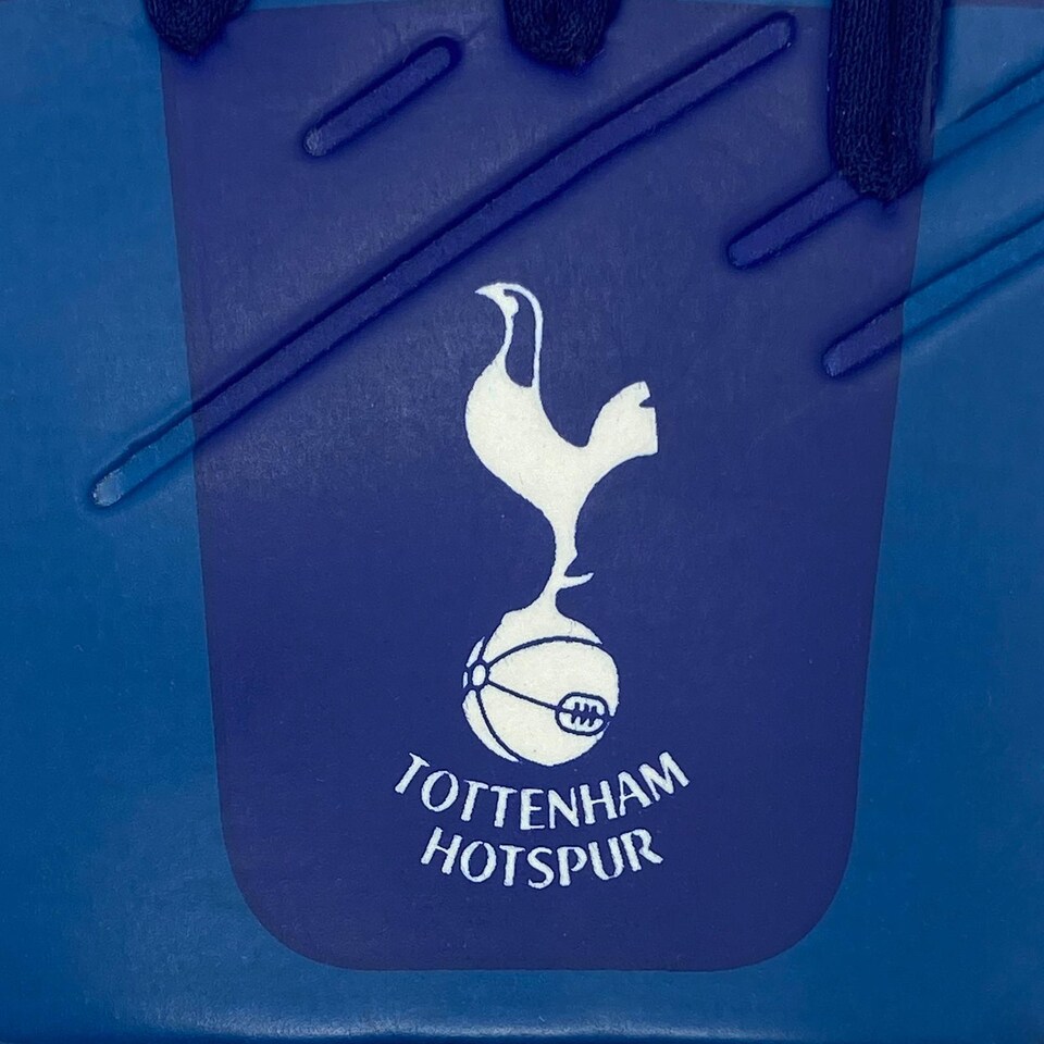 image 1 of Tottenham Hotspur FC Childrens/Kids Goalkeeper Gloves | Blue | Navy Blue | 1