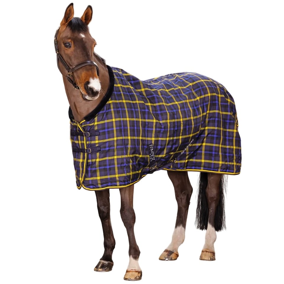 image 1 of Tempest Plus Lite Standard-Neck Tartan Horse Stable Rug | Green | Green | 66in | 1