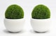 image 2 of Artificial Grass Effect Hanging Topiary Ball With Chain 28cm x2 Pair