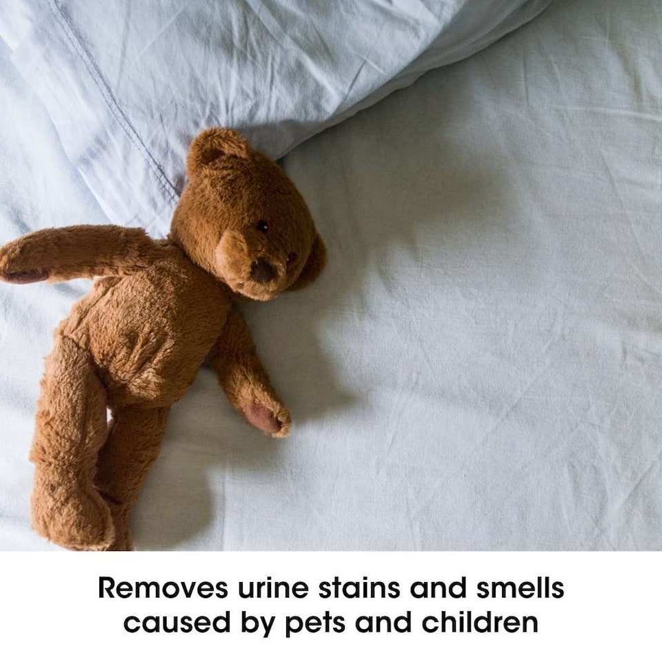 image 1 of Stain & Odour Eliminator 500ml