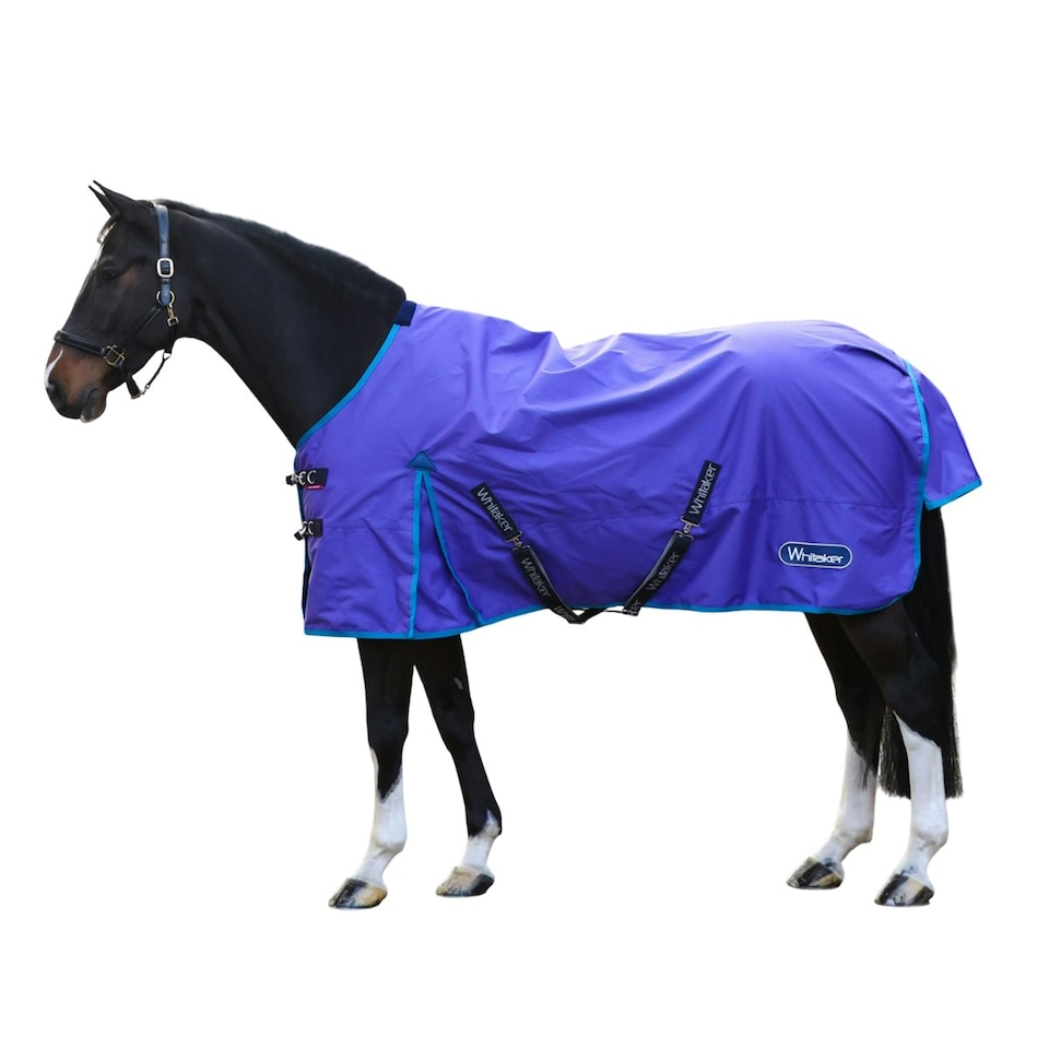 Whitaker Rastrick V2 Standard-Neck Contrast Detail Horse Turnout Rug - Purple - 6´ 3"